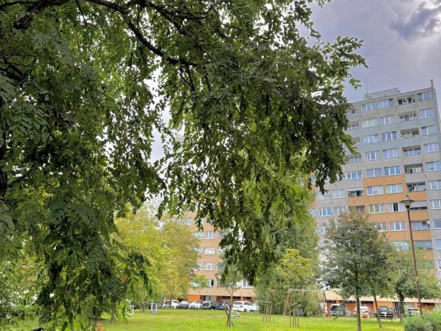 Mieszkanie do wynajęcia w Wrocław, Dolnośląskie