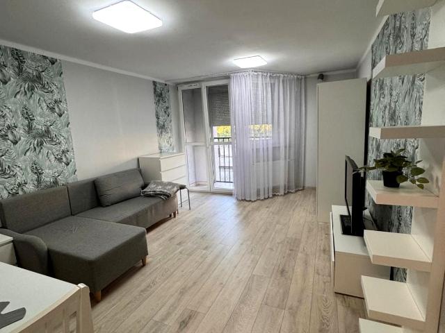 Mieszkanie do wynajęcia w Katowice, Śląskie