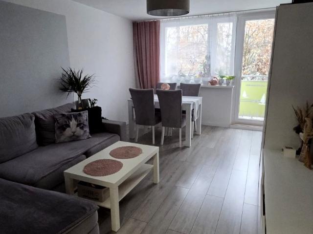 Mieszkanie do wynajęcia w Ruda Śląska, Śląskie