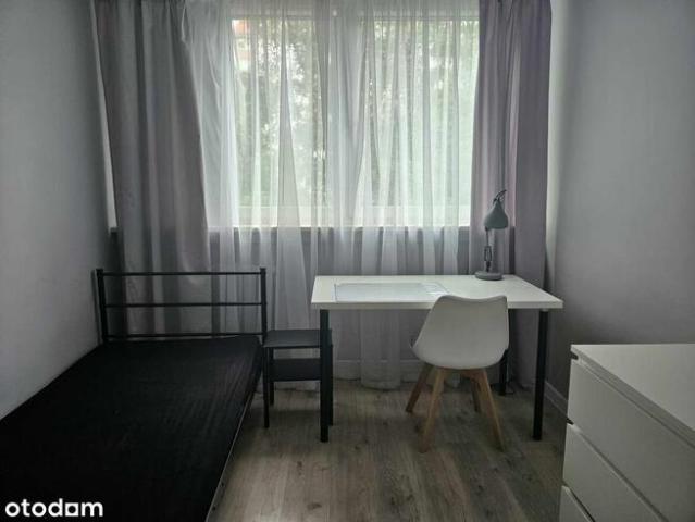 Room do wynajęcia w Wrocław