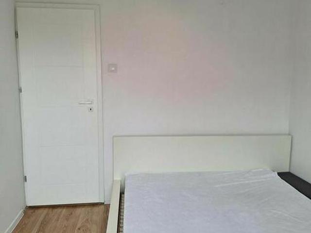 Pokój do wynajęcia w Zielona Góra