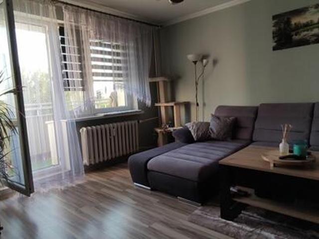 Mieszkanie do wynajęcia w Poznań, Wielkopolskie