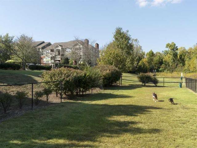 Apartment for rent in Tennessee