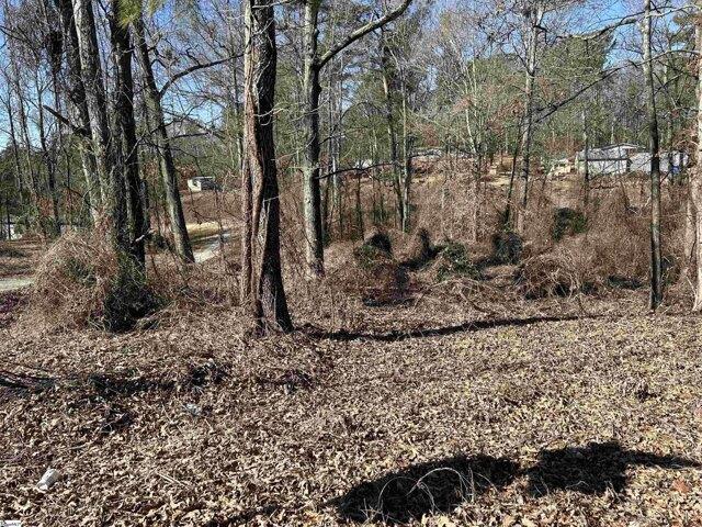 Land for sale in Inman