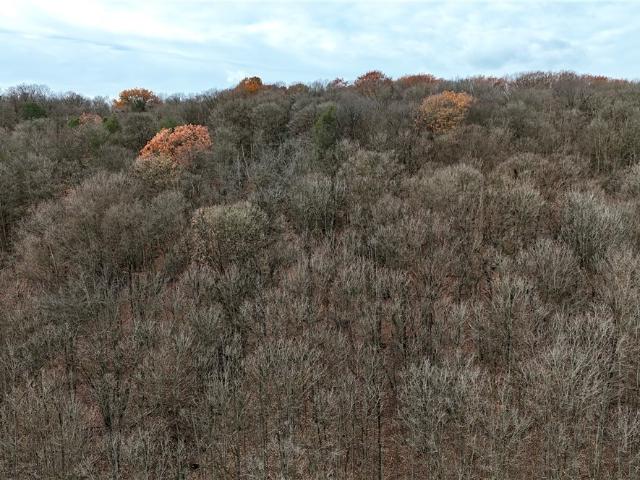 Land for sale in Silver Springs, New York
