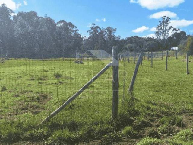 Terreno venda em Região Geográfica Imediata de Porto Alegre, Região Metropolitana de Porto Alegre