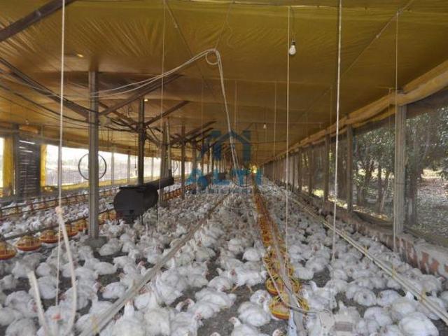 Sítio e chácara venda em Região Imediata de Piracicaba, Laranjal Paulista