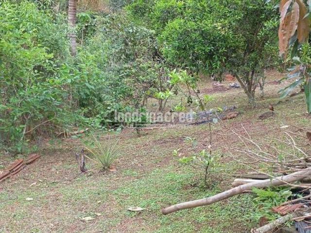 Sítio e chácara venda em Jardim Cristal, Londrina