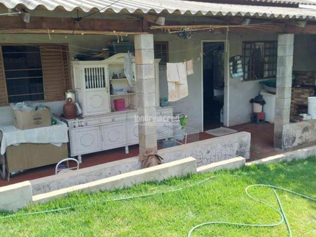 Sítio e chácara venda em Paiquerê, Londrina