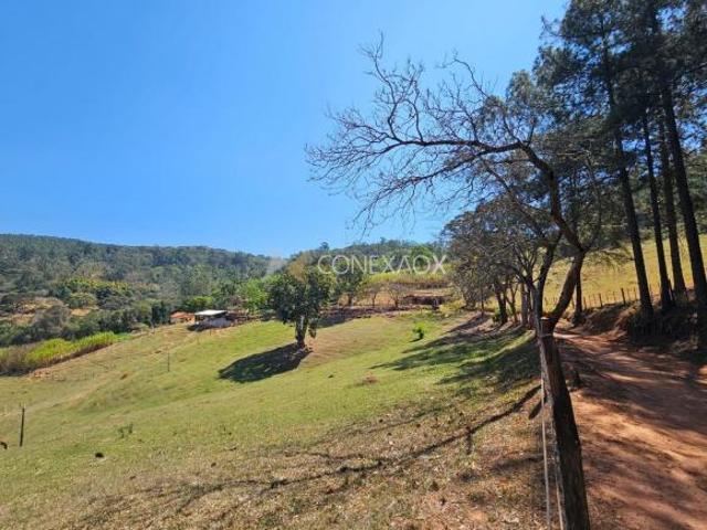 Sítio e chácara venda em Região Imediata de Bragança Paulista, Tuiuti