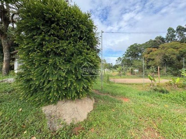 Sítio e chácara venda em Região Imediata de Bragança Paulista, Nazaré Paulista
