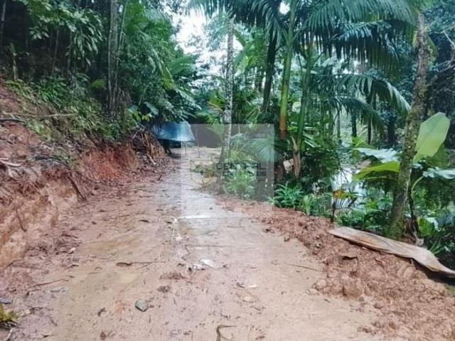 Sítio e chácara venda em Região Geográfica Imediata de Paranaguá, Antonina
