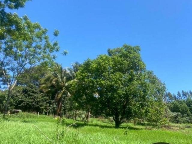 Sítio e chácara venda em Região Geográfica Imediata de Paranavaí, Alto Paraná