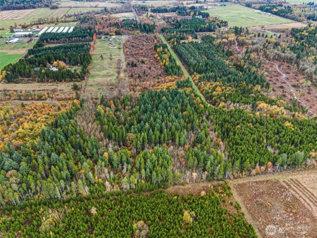 Land for sale in Toledo, Washington