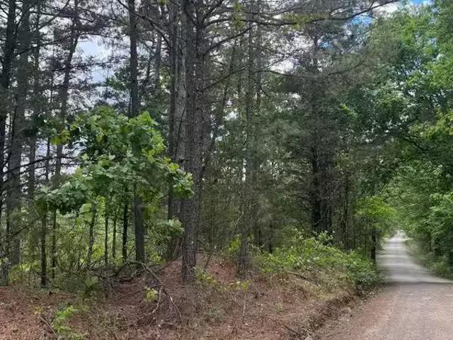 House for rent in Arkadelphia
