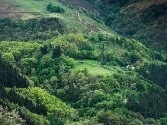 Casa en alquiler en Arantza, Navarra