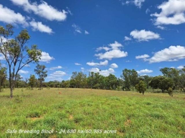 Cottage for sale in Aramac, Queensland