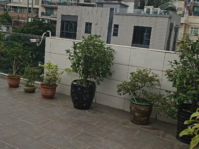 位於 香港, 提供 出租 的 村屋