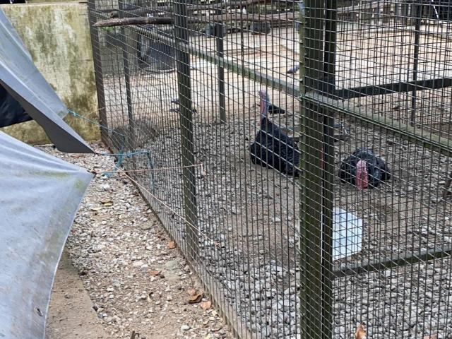 Apartment for rent in Siglap, 16 Upper East Coast