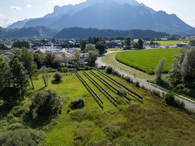 Immobilie kaufen in Anif, Salzburg