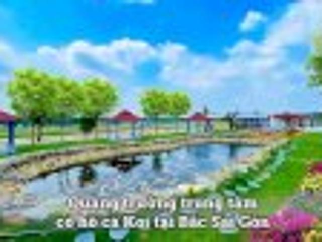 Bất động sản bán tại Gia Lai