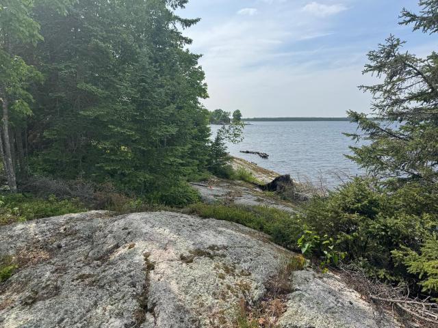 Land for sale in Minnesota
