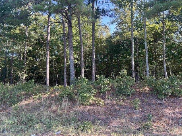 Land for sale in Ark