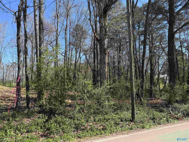 Land for sale in Arab, Alabama