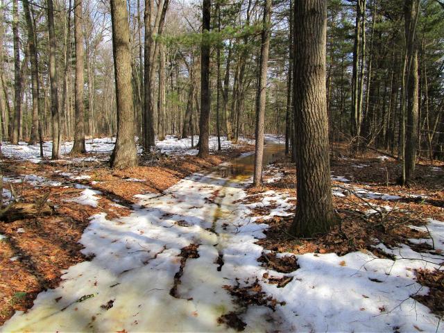 Land for sale in Lewis, Wisconsin