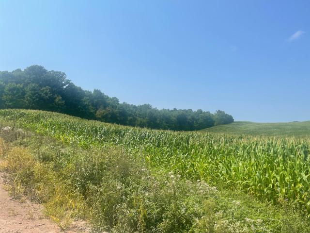 Land for sale in Wisconsin