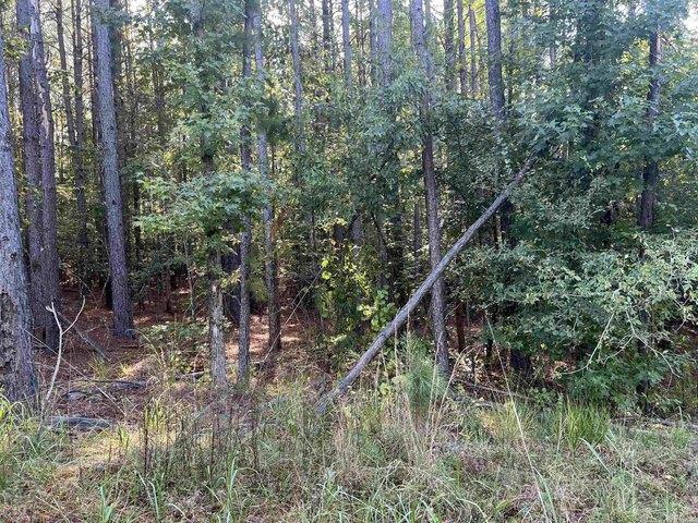 Land for sale in Ark