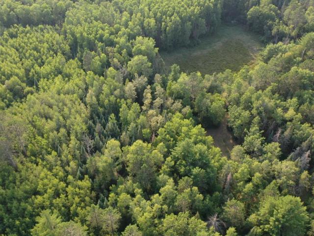 Land for sale in Emily, Minnesota