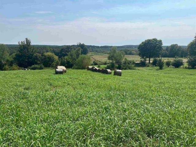 Land for sale in Pike County, Arkansas