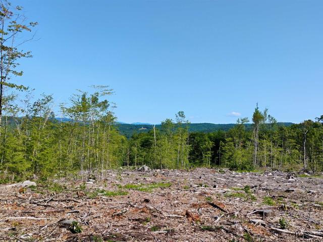 Land for sale in New Hampshire