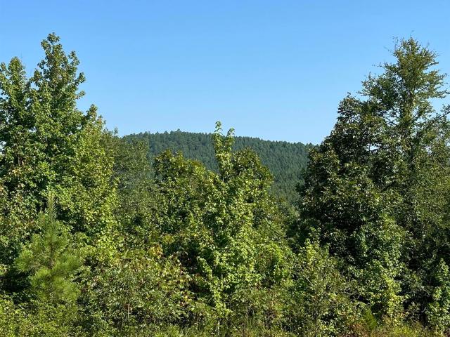 Land for sale in Ark