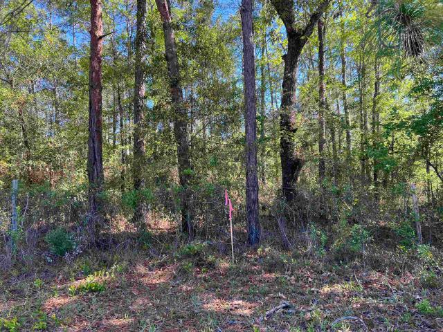 Land for sale in Quincy, Florida