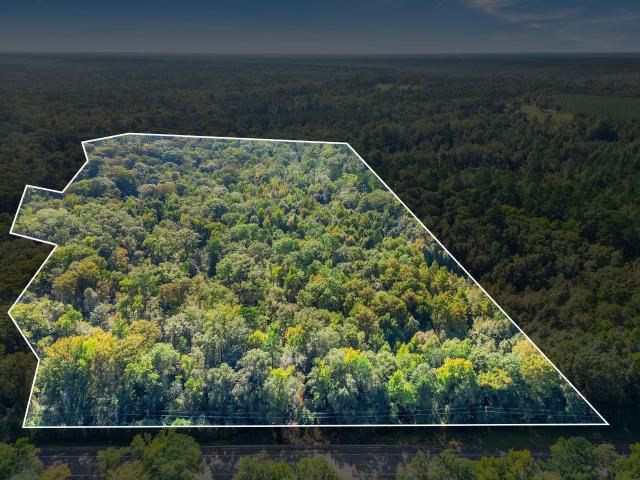 Land for sale in Quincy, Florida