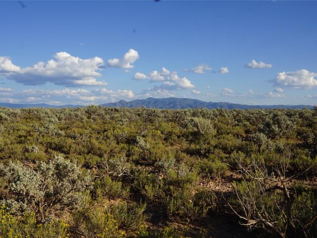 Land for sale in El Prado, New Mexico