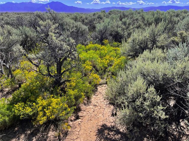 Land for sale in El Prado, New Mexico