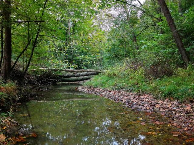 Land for sale in Mount Liberty, Nashville