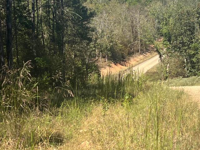 Land for sale in Glenwood, Pike County