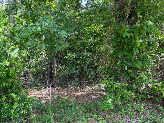 Land for sale in Ark