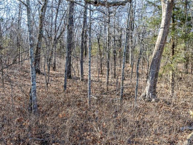 Land for sale in Buffalo, Missouri
