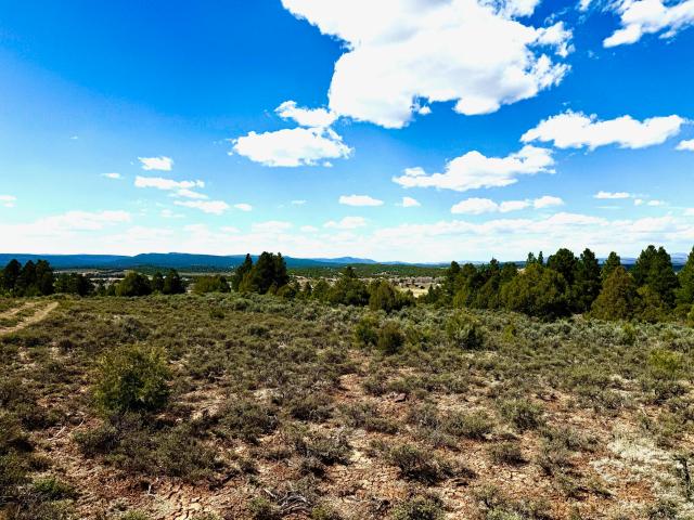 Land for sale in Los Ojos, New Mexico