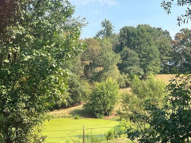 Land for sale in Pike County, Arkansas