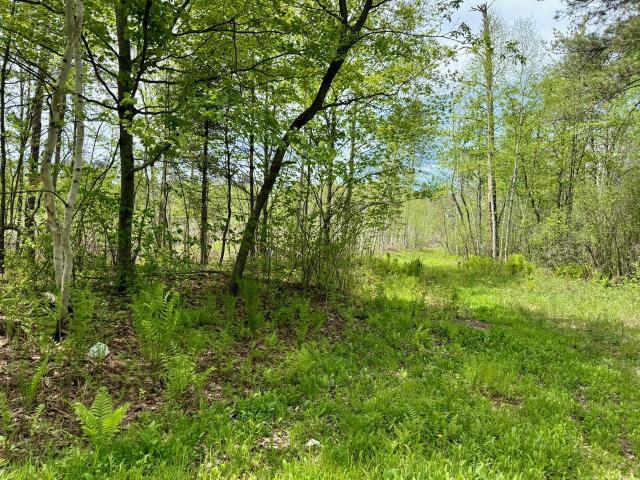 Land for sale in Rutledge, Minnesota