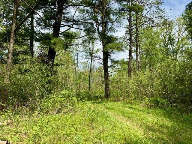 Land for sale in Willow River, Minnesota