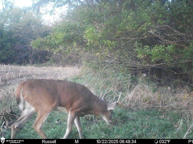Farm for sale in Westboro, Missouri