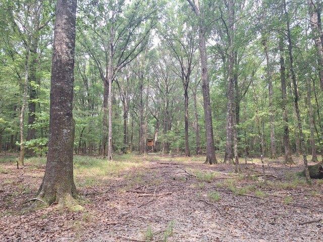 Land for sale in Alabama