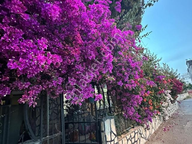 Yenişehir, Mersin içerisinde satılık Villa